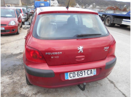 Vehicule-PEUGEOT-307-2-2004-beae4a55acd3e85eefca1dc9bd44ce2252f11c8875f49b01ff0418f3443f761e.JPG