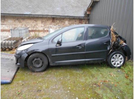 Vehicule-PEUGEOT-207-PHASE-1-1-4-2008-11a1e495eb47d078f285e97d5e59a068633154b60629bf902e17ab47c48cfd15.JPG