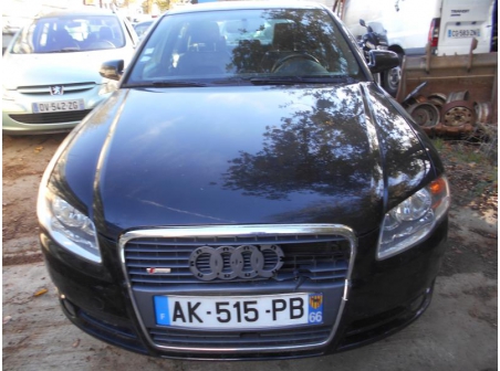 Vehicule-AUDI-A4-(8EC-8ED)-A4-2004-1-9-2005-b087b3607ea2a5c2a44600fa5acc04223eaea9463f341245ed14422c25f1339d.JPG